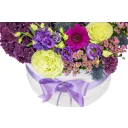 Box fialových květin